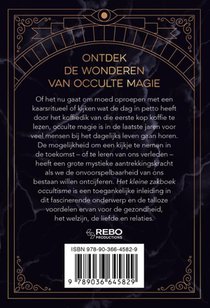 Het kleine zakboek occultisme achterzijde