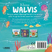 Kleine Walvis achterzijde