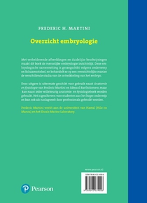 Overzicht embryologie achterzijde