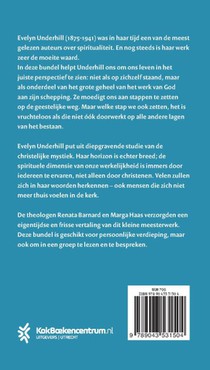Het spirituele leven achterzijde
