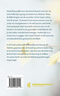 Hoe ziet de hemel eruit? achterzijde