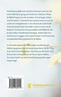 Hoe ziet de hemel eruit? achterzijde