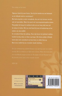 Het raadsel van de tijdpoorten achterzijde