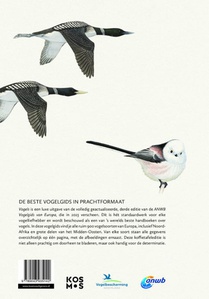 Vogels achterzijde