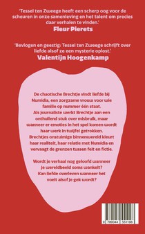 Lik achterzijde