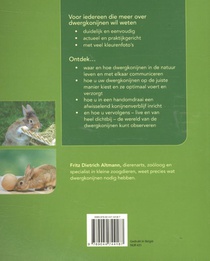 Dwergkonijnen houden achterzijde