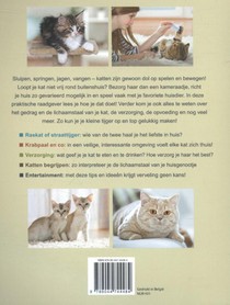 Katten achterzijde