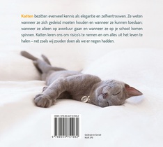 Wat we van katten kunnen leren achterzijde