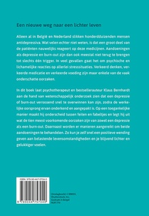 Burn-out en depressie overwinnen achterzijde