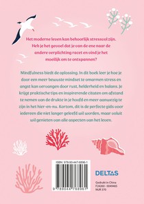 Het pad naar Mindfulness achterzijde