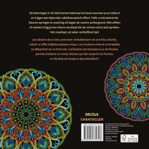 Kaleido Color achterzijde