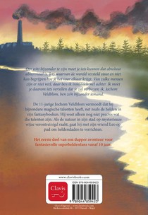 De magische talenten van Jochem Veldblom achterzijde