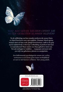 In scherven achterzijde
