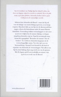 De lagune achterzijde