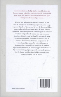 De lagune achterzijde