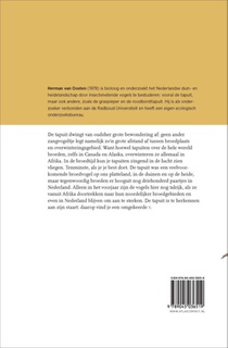 De tapuit achterzijde