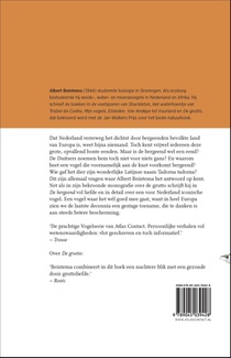 De bergeend achterzijde