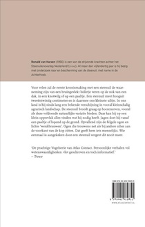 De steenuil achterzijde