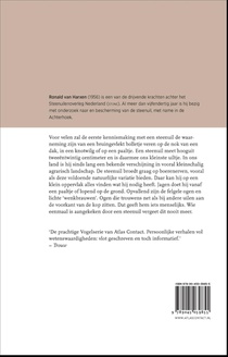 De steenuil achterzijde