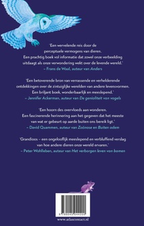 Een Immense wereld achterzijde