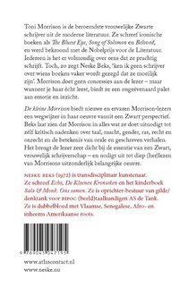 De kleine Morrison achterzijde