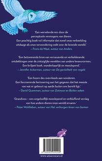 Een Immense wereld achterzijde