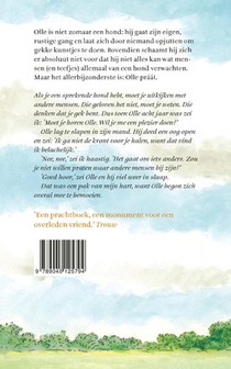 Olle achterzijde
