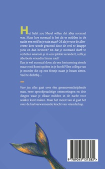 Voor jou alles achterzijde