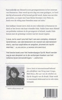 De poorten van Damascus achterzijde