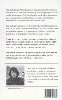 De poorten van Damascus achterzijde