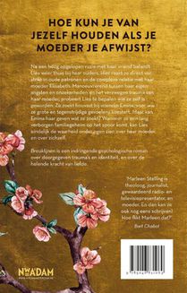 Breuklijnen achterzijde