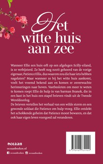 Het witte huis aan zee achterzijde