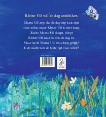 Kleine Uil achterzijde