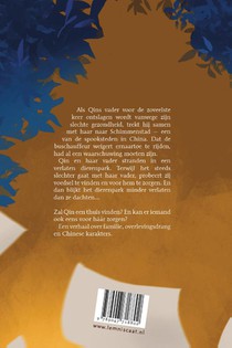 De schat van Schimmenstad achterzijde