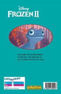 AVI - Disney Frozen 2 achterzijde
