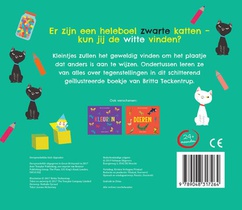 Tegenstellingen achterzijde