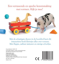 Dieren - vormen achterzijde