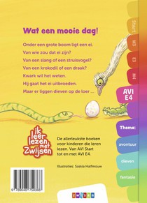 Foeksia de miniheks - Wat een mooie dag! achterzijde