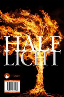 Half licht achterzijde