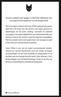 Cesars aanpak voor puppy's achterzijde