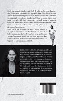 Het verbrande huis achterzijde