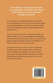 Stoeien met koeien achterzijde