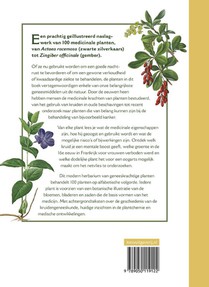 Botanicum medicinale achterzijde