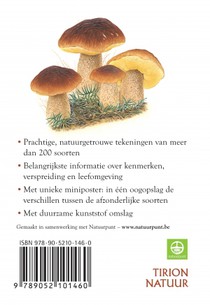 Paddenstoelen achterzijde