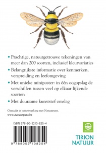 Compact Gids Insecten achterzijde