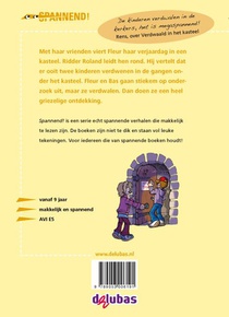 Verdwaald in het kasteel achterzijde
