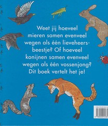 Hoeveel weegt een lieveheersbeestje? achterzijde