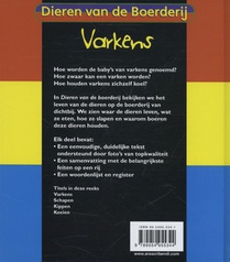 Varkens achterzijde