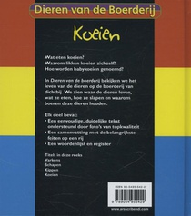 Koeien achterzijde