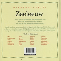 Zeeleeuw achterzijde